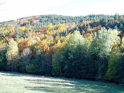 Automne_allenc (4)
